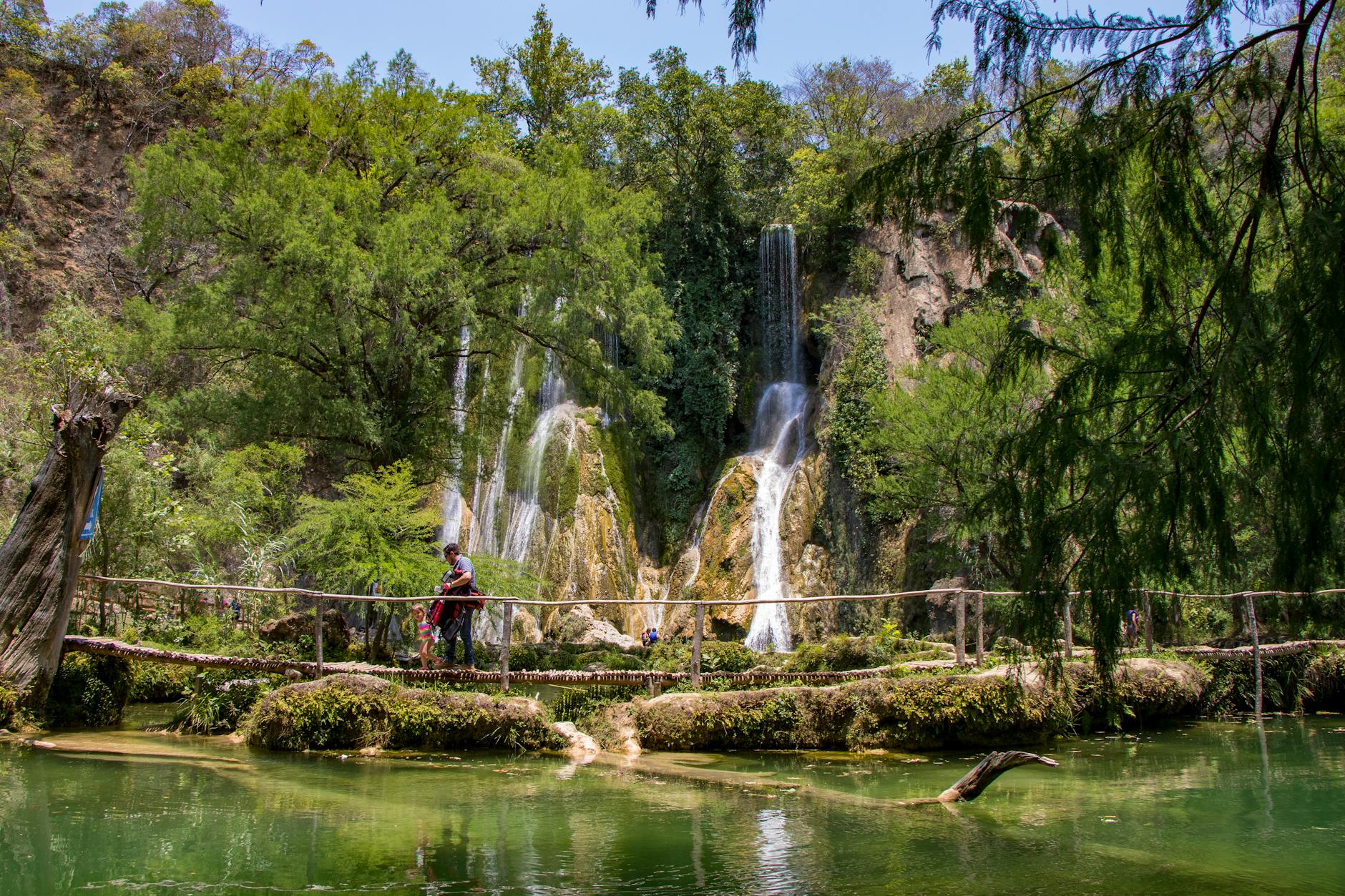 Kostenloses Stock Foto zu außerorts, bäume, brücke