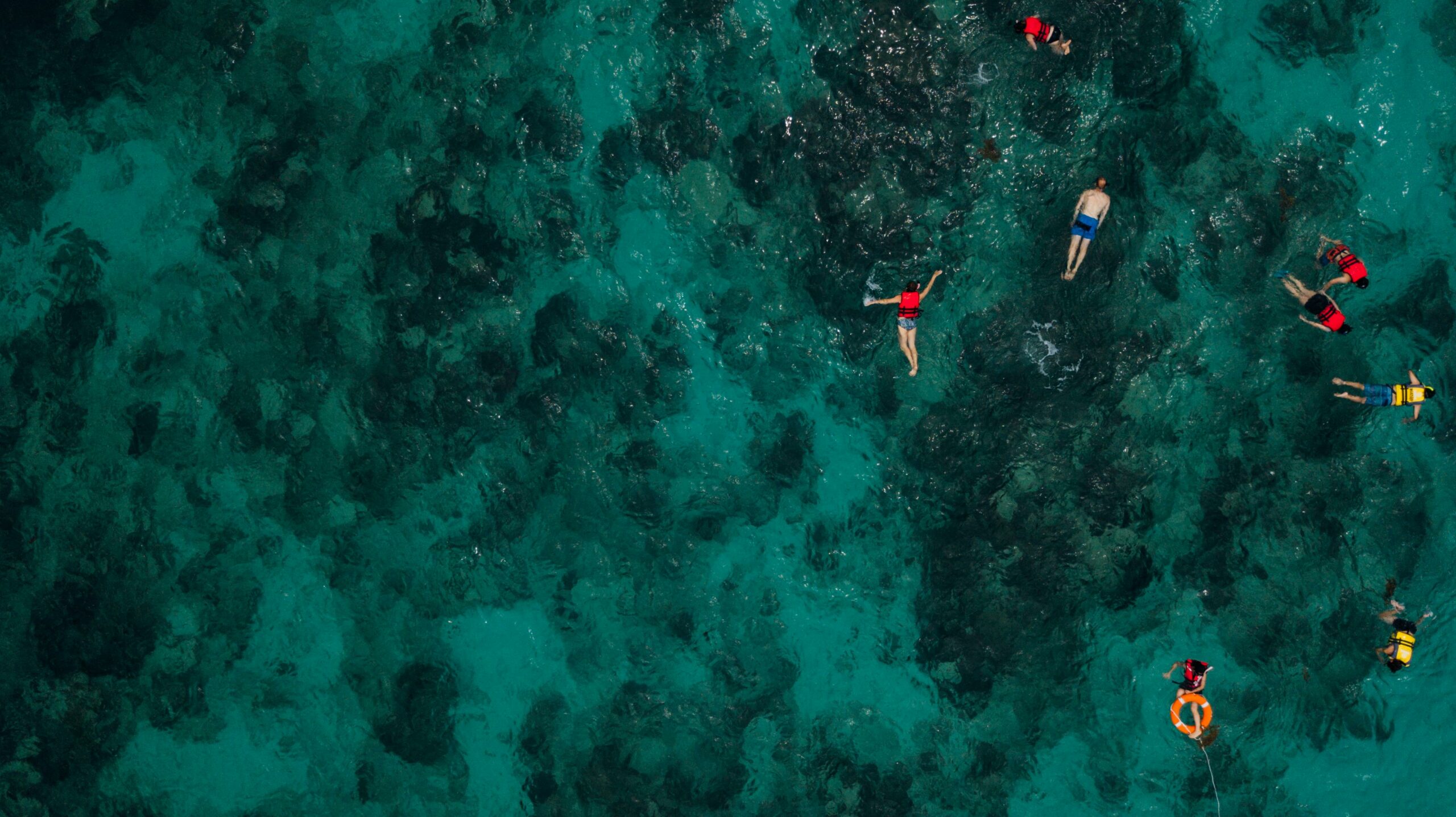 Menschen, Die Im Meer Schnorcheln